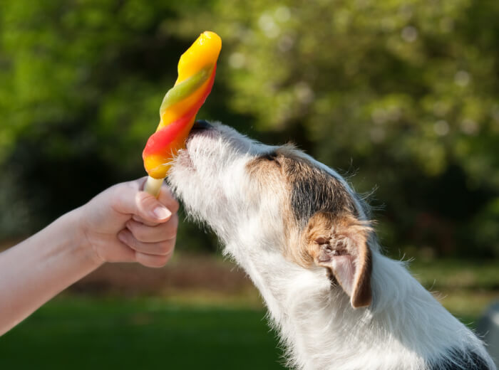 Helpful Tips for the Hot Summer Months