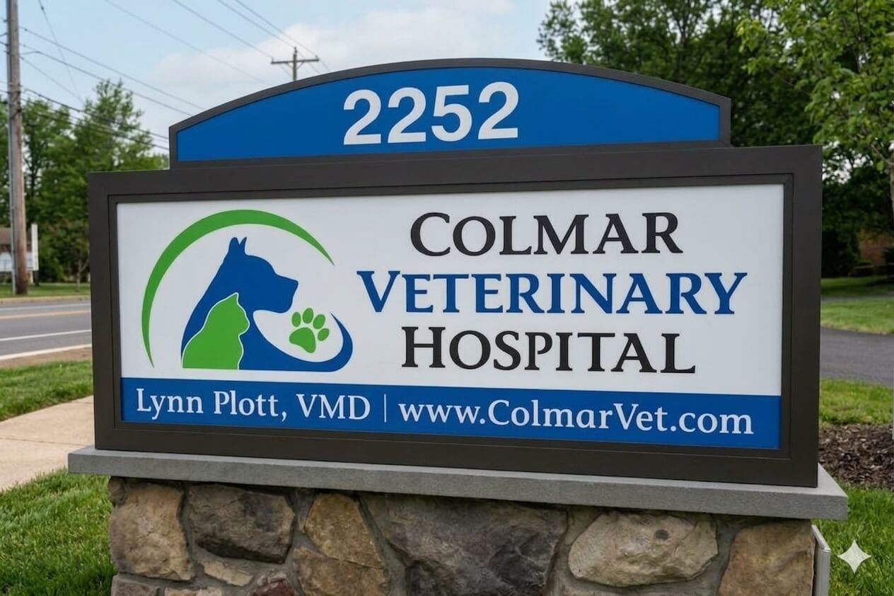 Full Services Veterinary Hospital in Colmar