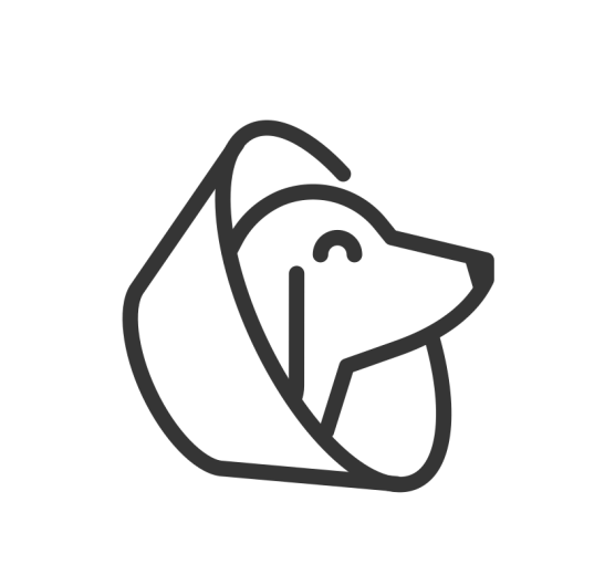 Dog Surgery